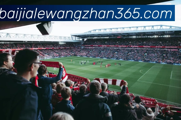 百家乐网站平台生态图